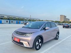 BYD Dolphin 420km Fashion Edition - ფოტო 1