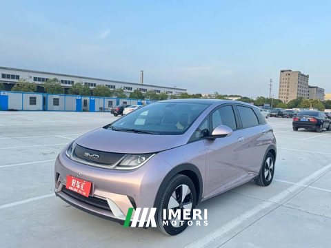 2023 BYD Dolphin 420km Fashion Edition - ავტომობილი ჩინეთიდან