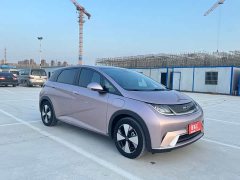 BYD Dolphin 420km Fashion Edition - ფოტო 4