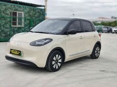 Wuling Binguo 2024 333km Joy Edition - ფოტო 1