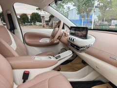 Wuling Binguo 2024 333km Joy Edition - ფოტო 14