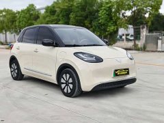 Wuling Binguo 2024 333km Joy Edition - ფოტო 3