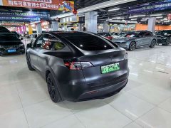 Tesla Model Y Rear-Wheel Drive - ფოტო 8