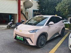 BYD Seagull Glory Edition 305km Freedom Version - ფოტო 1
