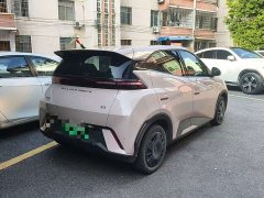 BYD Seagull Glory Edition 305km Freedom Version - ფოტო 5