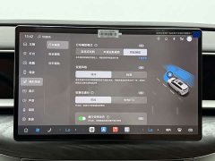 Denza BYD Denza D9 2025 DM-i AWD Premium Navigation Edition - ფოტო 9