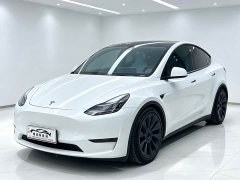 Tesla Model Y Long Range All-Wheel Drive - ფოტო 1