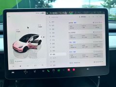 Tesla Model Y Long Range All-Wheel Drive - ფოტო 11