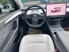 Tesla Model Y Long Range All-Wheel Drive - ფოტო 19