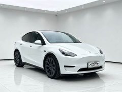 Tesla Model Y Long Range All-Wheel Drive - ფოტო 3