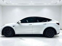 Tesla Model Y Long Range All-Wheel Drive - ფოტო 4