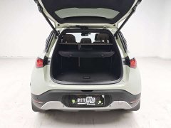smart #1 2022 Pulse Heartbeat Edition - ფოტო 11