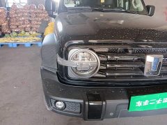 Tank 300 2021 Off-Road Edition 2.0T Challenger - ფოტო 7