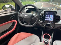 Chery Ant Facelift Sweet Pink Half-Sugar Ternary Lithium 30.6kWh 30kW 301km - ფოტო 11