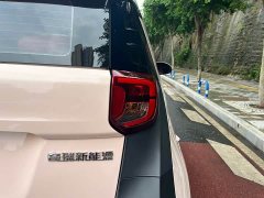 Chery Ant Facelift Sweet Pink Half-Sugar Ternary Lithium 30.6kWh 30kW 301km - ფოტო 19