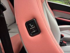 Chery Ant Facelift Sweet Pink Half-Sugar Ternary Lithium 30.6kWh 30kW 301km - ფოტო 8
