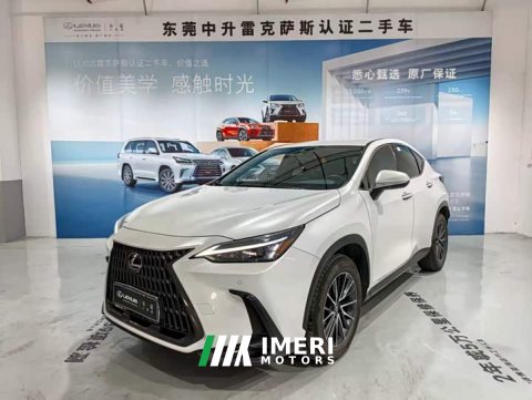 2023 Lexus NX 350h FWD Joyful Edition - ავტომობილი ჩინეთიდან