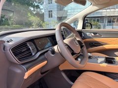 Denza D9 2022 DM-i 970 AWD Flagship - ფოტო 9