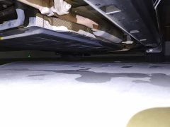 BYD Song MAX New Energy DM-i 105KM Flagship - ფოტო 18