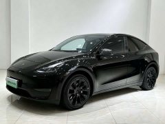 Tesla Model Y Long Range All-Wheel Drive - ფოტო 1