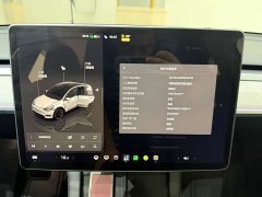 Tesla Model Y Long Range All-Wheel Drive - ფოტო 10