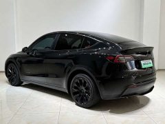 Tesla Model Y Long Range All-Wheel Drive - ფოტო 16