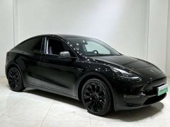 Tesla Model Y Long Range All-Wheel Drive - ფოტო 3