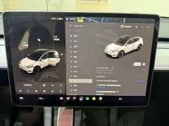 Tesla Model Y Long Range All-Wheel Drive - ფოტო 9