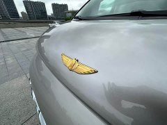 Geely Galaxy V900 Golden Radiance Collector's Edition - ფოტო 8