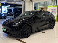 Tesla Model Y 2023 Rear-Wheel Drive - ფოტო 1