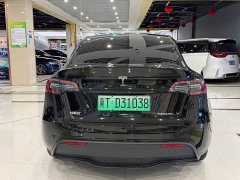 Tesla Model Y 2023 Rear-Wheel Drive - ფოტო 8