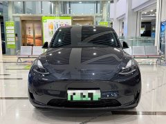 Tesla Model Y 2024 Rear-Wheel Drive - ფოტო 2