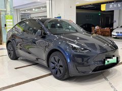 Tesla Model Y 2024 Rear-Wheel Drive - ფოტო 3