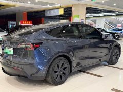 Tesla Model Y 2024 Rear-Wheel Drive - ფოტო 7
