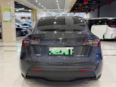 Tesla Model Y 2024 Rear-Wheel Drive - ფოტო 8