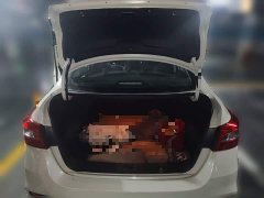 Nissan Sylphy 2024 Facelift III Classic 1.6XE CVT Comfort Edition - ფოტო 20