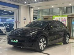 Tesla Model Y Long Range All-Wheel Drive 3D7 - ფოტო 1