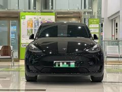Tesla Model Y Long Range All-Wheel Drive 3D7 - ფოტო 2