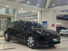 Tesla Model Y Long Range All-Wheel Drive 3D7 - ფოტო 3