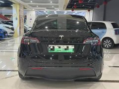 Tesla Model Y Long Range All-Wheel Drive 3D7 - ფოტო 8