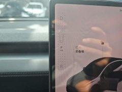 Tesla Model Y Rear-Wheel Drive - ფოტო 10