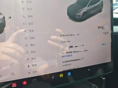 Tesla Model Y Rear-Wheel Drive - ფოტო 8