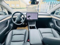 Tesla Model 3 2020 Standard Range RWD Upgrade - ფოტო 14