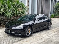 Tesla Model 3 Standard Range RWD Upgrade - ფოტო 1