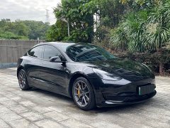 Tesla Model 3 Standard Range RWD Upgrade - ფოტო 3