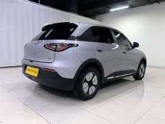 Geely Star Wish 2026 310km Youth Edition - ფოტო 2