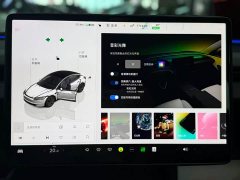 Tesla Model 3 Rear-Wheel Drive - ფოტო 11