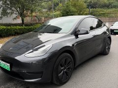 Tesla Model Y Rear-Wheel Drive - ფოტო 1