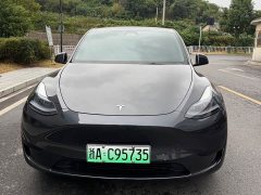 Tesla Model Y Rear-Wheel Drive - ფოტო 2