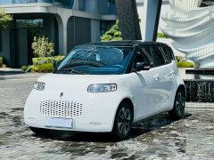 ORA White Cat 2020 305km Luxury - ფოტო 1